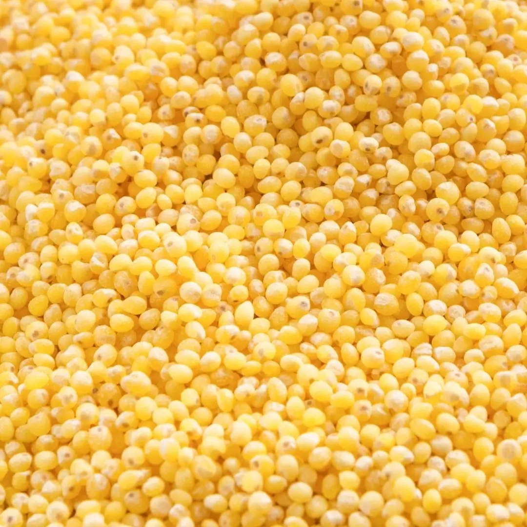 Bajra