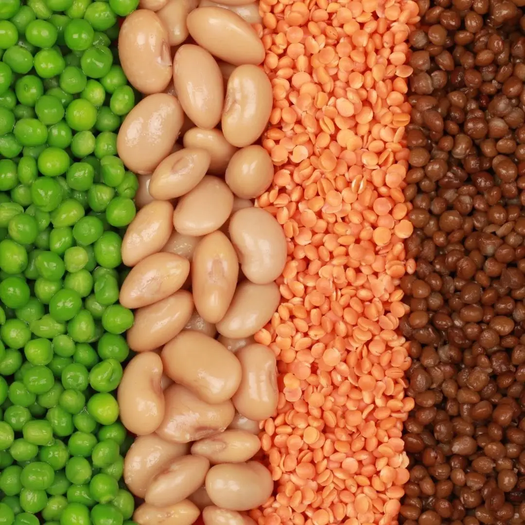 Pulses